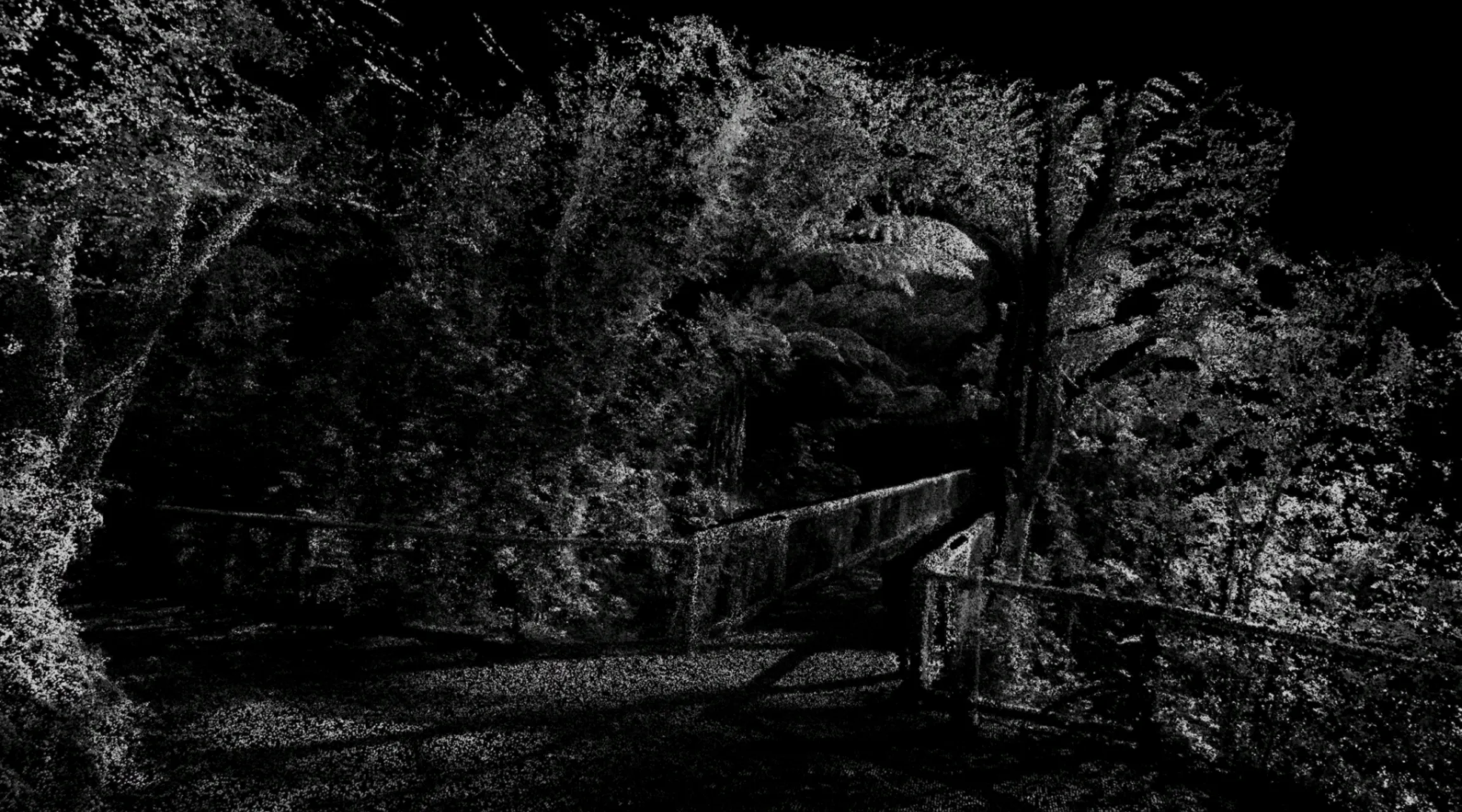 forestina-cover